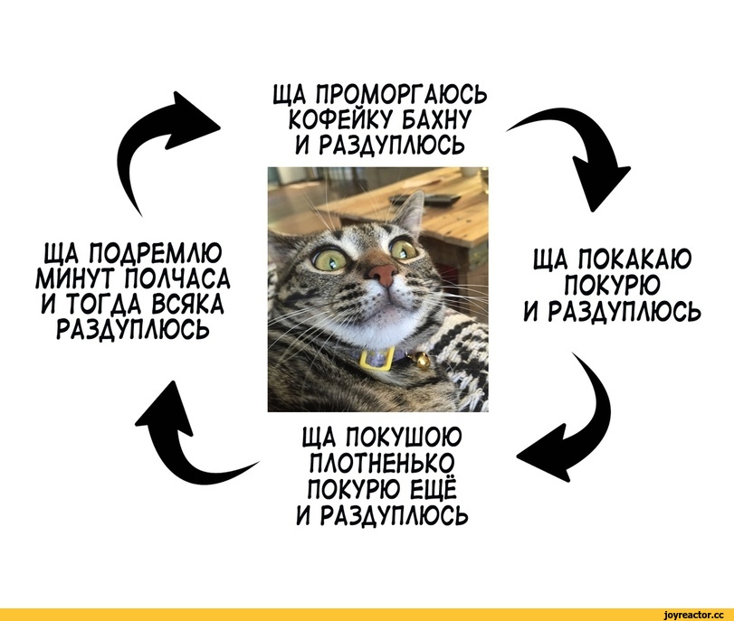 ﻿г
ЩА ПОДРЕМЛЮ МИНУТ ПОЛЧАСА И ТОГДА ВСЯКА РАЗДУПЛЮСЬ
С
ЩА ПРОМОРГАЮСЬ КОФЕЙКУ БАХНУ И РАЗДУПЛЮСЬ
ЩА ПОКАКАЮ ПОКУРЮ И РАЗДУПЛЮСЬ
ЩА ПОКУШОЮ ПЛОТНЕНЬКО ПОКУРЮ ЕЩЁ И РАЗДУПЛЮСЬ