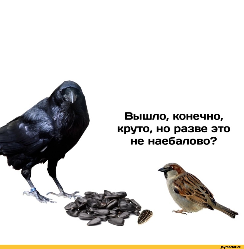 ﻿Вышло, конечно, круто, но разве это не наебалово?,Квазар комикс,Смешные комиксы,веб-комиксы с юмором и их переводы,длиннопост