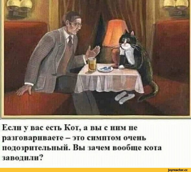 ﻿Если у вас есть Кот, а вы с ним не
ш
ра довариваете - это симптом очень подозрительный. Вы 1ачем вообще кч>1а ыволнли?,картинка с текстом,котэ,прикольные картинки с кошками,приколы для даунов