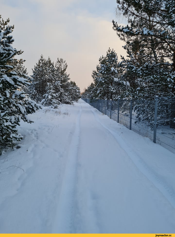 песочница