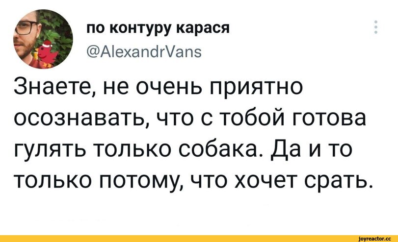 ﻿по контуру карася
@А1ехапс1г\/ап5
Знаете, не очень приятно осознавать, что с тобой готова гулять только собака. Да и то только потому, что хочет срать.,twitter,интернет,собака,собакен, песель, пес,одиночество