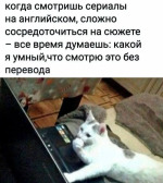 ﻿когда смотришь сериалы на английском, сложно сосредоточиться на сюжете - все время думаешь: какой я умный,что смотрю это без перевода